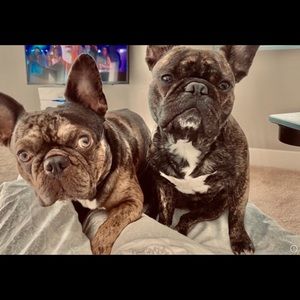 Meet your Posher, Bernadette